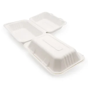 Bagasse 1000ml Lunch Box NO DIV (250)