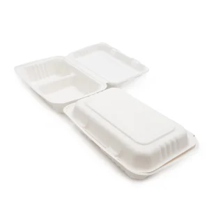 Bagasse 1000ml Lunch Box 2 DIV (250)