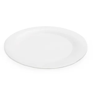 Picnic Plates WHITE (2 x 250)