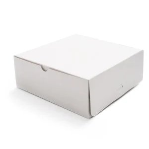 9x5x4 Cake Box  (23x13x10cm) (100)