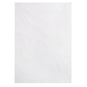 300x450mm x 25mic Plastic Bag (1000)