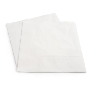 Serviette 2Ply 330x330 [N18] (1000)
